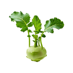 Kohlrabi